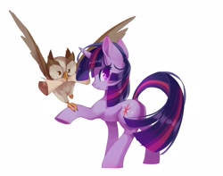 Size: 2048x1610 | Tagged: safe, artist:malt_cat, character:owlowiscious, character:twilight sparkle, character:twilight sparkle (unicorn), species:bird, species:owl, species:pony, species:unicorn, g4, duo, female, holding, horn, male, mare, mouth hold, scroll, simple background, white background