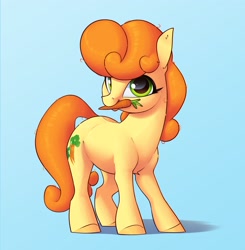 Size: 2300x2345 | Tagged: safe, artist:aquaticvibes, character:carrot top, character:golden harvest, species:earth pony, species:pony, g4, blue background, carrot, colored hooves, cute, cutie mark, cutie top, eyelashes, female, food, holding, hooves, looking at you, mare, mouth hold, simple background, solo, tail