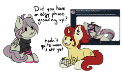 Size: 4256x2560 | Tagged: safe, artist:noxi1_48, species:pony, series:daily dose of friends