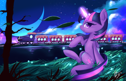 Size: 5100x3300 | Tagged: safe, artist:kawaiipony2, character:twilight sparkle, character:twilight sparkle (alicorn), species:alicorn, species:pony, g4, absurd resolution, crescent moon, female, folded wings, glowing horn, grass, horn, leaves, magic, mare, moon, night, night sky, outdoors, sitting, sky, solo, train, wings