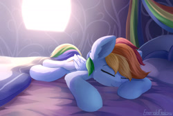 Size: 2400x1600 | Tagged: safe, artist:emeraldgalaxy, character:rainbow dash, species:pegasus, species:pony, g4, bed, bedroom, cute, dashabetes, eyebrows, eyes closed, female, folded wings, indoors, lying down, mare, on bed, pillow, signature, sleeping, smiling, solo, wings