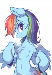 Size: 1535x2185 | Tagged: safe, artist:sione29031414, part of a set, character:rainbow dash, species:pegasus, species:pony, g4, belly, belly button, bipedal, chest fluff, cute, dashabetes, eyebrows, eyebrows visible through hair, female, fluffy, leg fluff, looking at you, mare, simple background, smiling, smiling at you, solo, spread wings, unshorn fetlocks, white background, wings