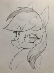Size: 2879x3867 | Tagged: safe, artist:aquaticvibes, character:rainbow dash, species:pegasus, species:pony, g4, bust, eyebrows, eyebrows visible through hair, eyelashes, female, mare, monochrome, portrait, sketch, smirk, solo, traditional art