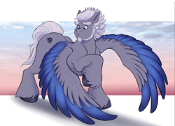 Size: 2722x1960 | Tagged: safe, artist:sallylla, character:alphabittle blossomforth, species:pegasus, species:pony, g5, :o, beard, colored hooves, colored wings, eyebrows, facial hair, freckles, full body, hooves, looking at self, male, multicolored wings, open mouth, race swap, raised hoof, solo, spread wings, stallion, standing, sunset, surprised, two toned wings, unshorn fetlocks, wings