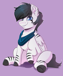 Size: 2632x3192 | Tagged: safe, artist:witchtaunter, species:pegasus, species:pony, species:zebra, clothing, commission, male, scarf, sitting, stallion