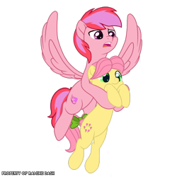 Size: 3600x3600 | Tagged: safe, artist:ramixe dash, base used, derpibooru original, character:posey bloom, species:earth pony, species:pegasus, species:pony, series:make your tale, series:make your tale season 2, g4, g5, my little pony: the movie (2017), duo, duo male, flying, g5 to g4, generation leap, holding, holding a pony, looking at something, male, movie accurate, peony blossom, rule 63, simple background, smiling, spread wings, stallion, style emulation, transparent background, whirlwind wings, windy, wings