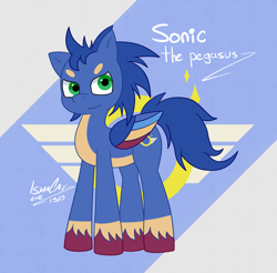 Size: 1680x1656 | Tagged: safe, artist:ismazhecat, character:sonic the hedgehog, species:pegasus, species:pony, g5, my little pony: tell your tale, coat markings, colored eyebrows, colored hooves, colored wings, crossover, cutie mark, cutie mark background, eyebrows, hooves, looking at you, male, multicolored wings, ponified, signature, socks (coat marking), sonic the hedgehog (series), species swap, stallion, unshorn fetlocks, video game, wings