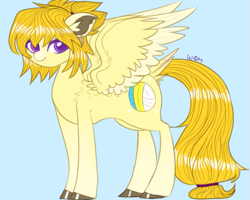 Size: 573x458 | Tagged: safe, oc, oc:swifty, species:pegasus, species:pony, female, mare, pigtails, solo
