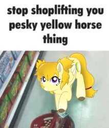 Size: 386x453 | Tagged: safe, oc, oc:swifty, species:pegasus, species:pony, female, mare, meme, pigtails, solo