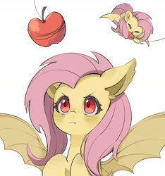 Size: 2252x2402 | Tagged: safe, artist:chonpsk, artist:chonpskss, character:flutterbat, character:fluttershy, species:bat pony, species:pony, g4, apple, bat ears, bat ponified, bat wings, eating, eyes closed, eyes on the prize, fangs, female, food, herbivore, high res, looking at something, lying down, mare, prone, race swap, sharp teeth, simple background, slit pupils, solo, spread wings, white background, wings