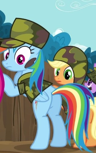 Abrasive Grind pleasant 1282727 - safe, screencap, character:applejack, character:rainbow dash,  character:twilight sparkle, species:pony, episode:dragon quest, g4, my  little pony: friendship is magic, camouflage, cropped, female, mare, plot -  Manebooru